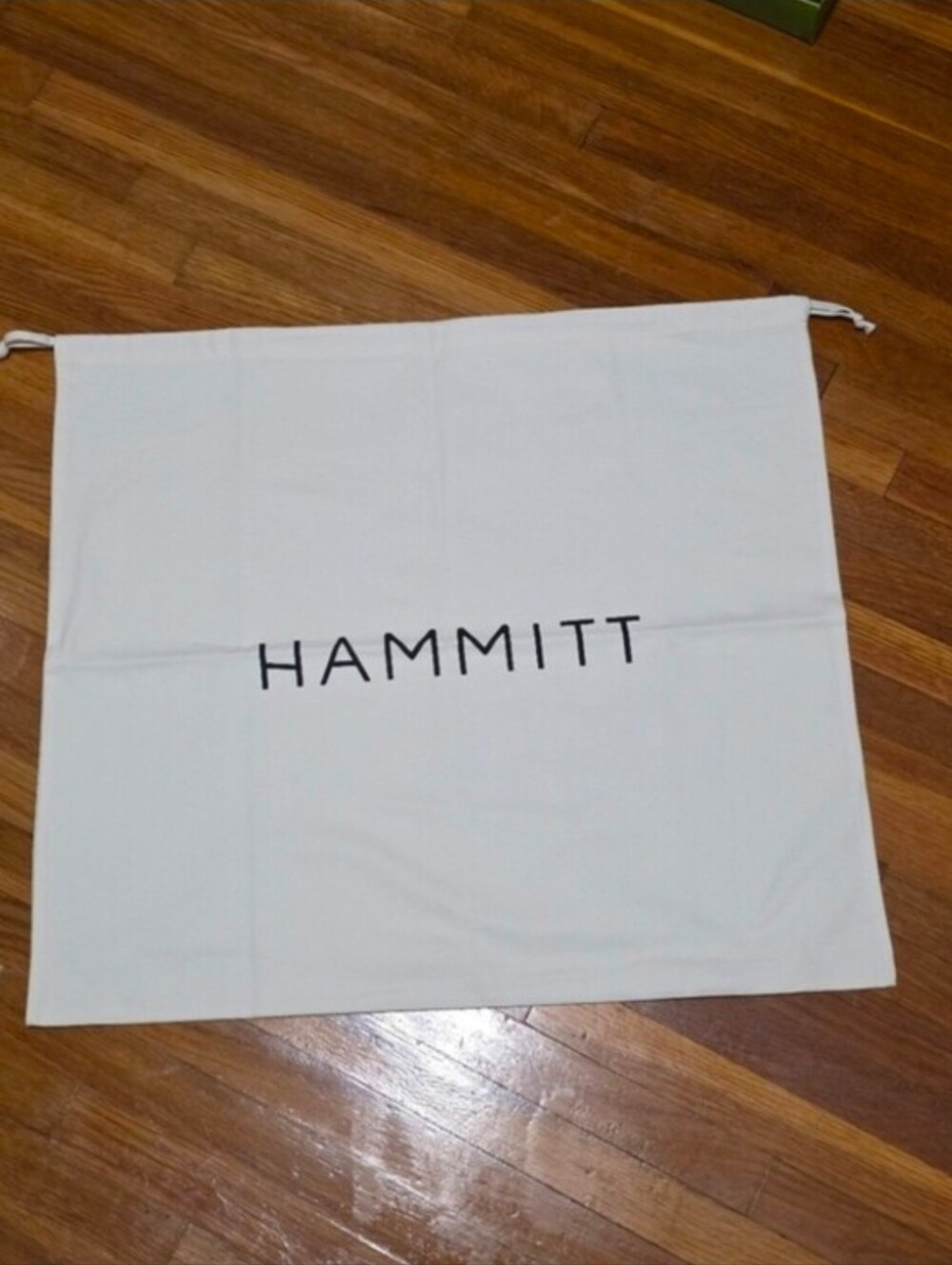 Hammitt White Dust Bag for Handbags
